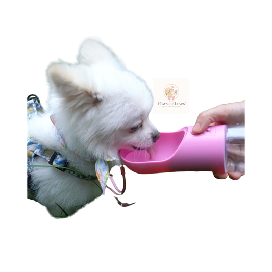 HydraPaw – Gourde de Voyage Anti-Fuite pour Chien avec Distributeur d’Eau