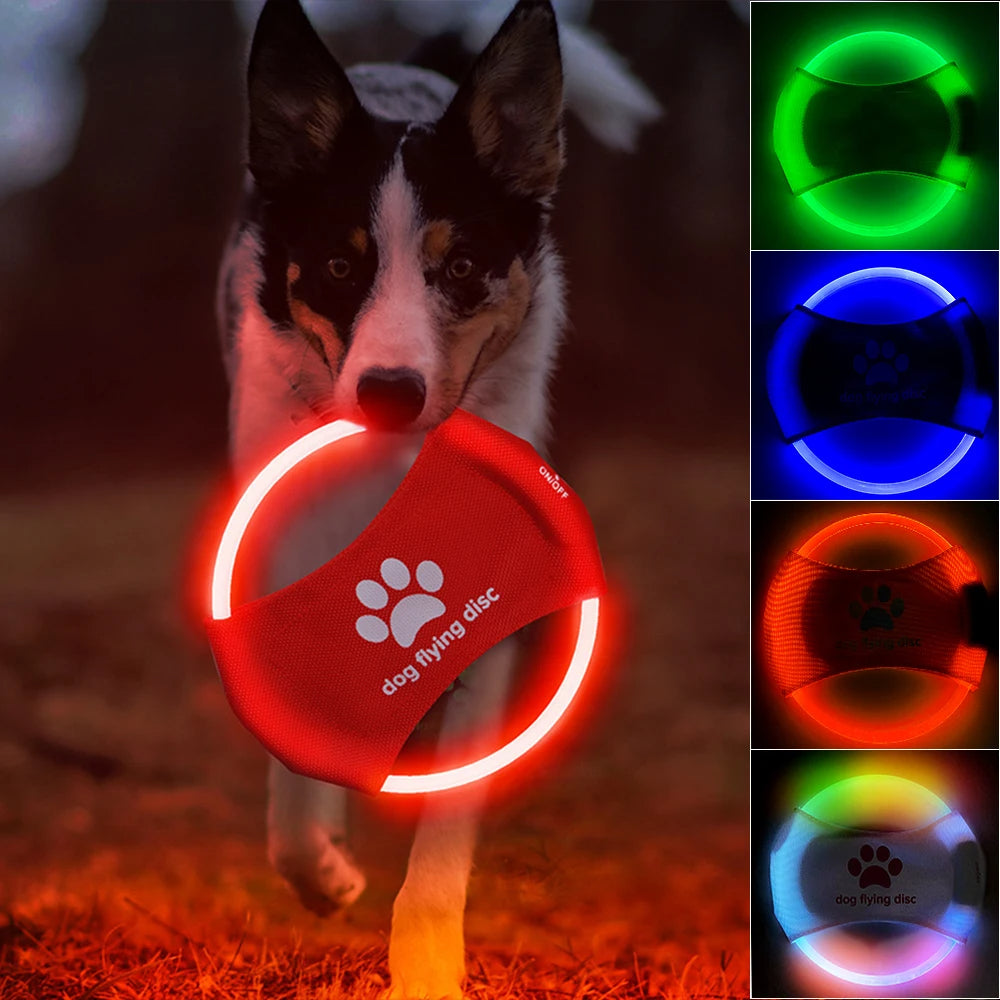 flying disc frisbee