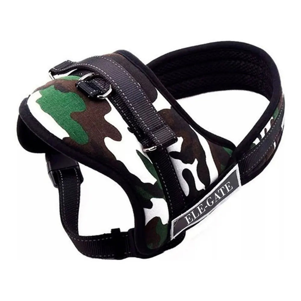 UrbanPaw™ – Harnais Quotidien pour Petit Chien