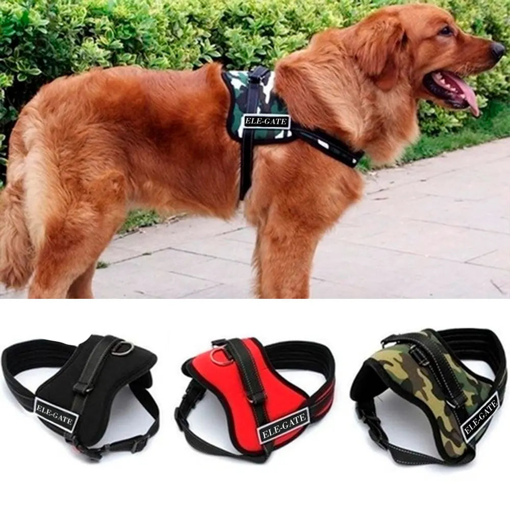 UrbanPaw™ – Harnais Quotidien pour Petit Chien