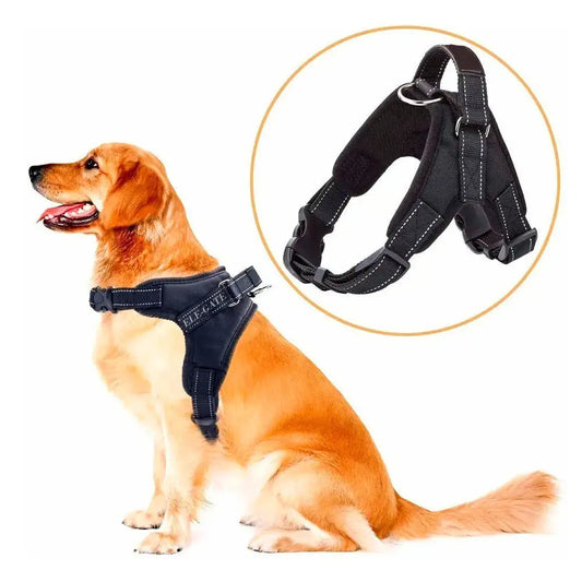 Harnais Renforcé en Nylon pour Grand Chien – Ajustable, Résistant et Confortable
