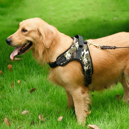 UrbanPaw™ – Harnais Quotidien pour Petit Chien