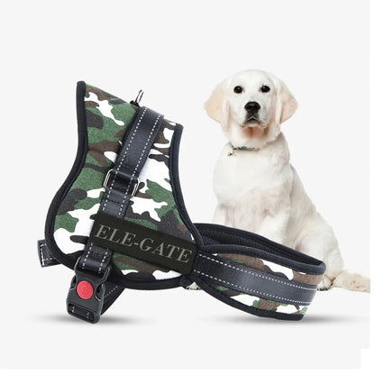 UrbanPaw™ – Harnais Quotidien pour Petit Chien