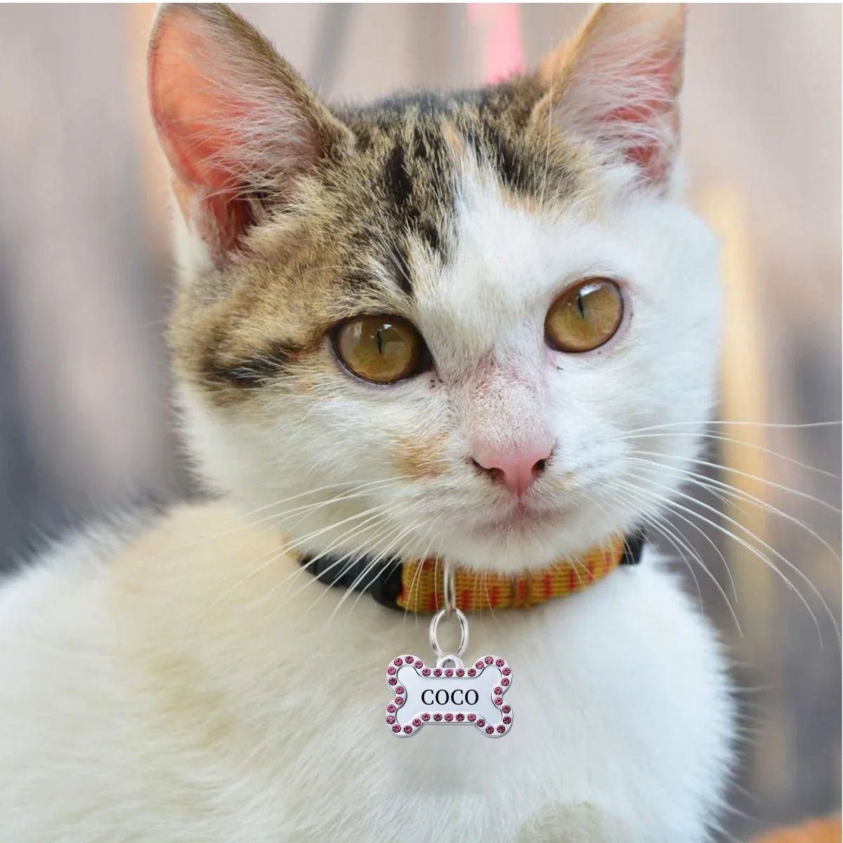 Paws & Loves™ Smart ID Tag – Pendentif Personnalisé pour Collier de Chien