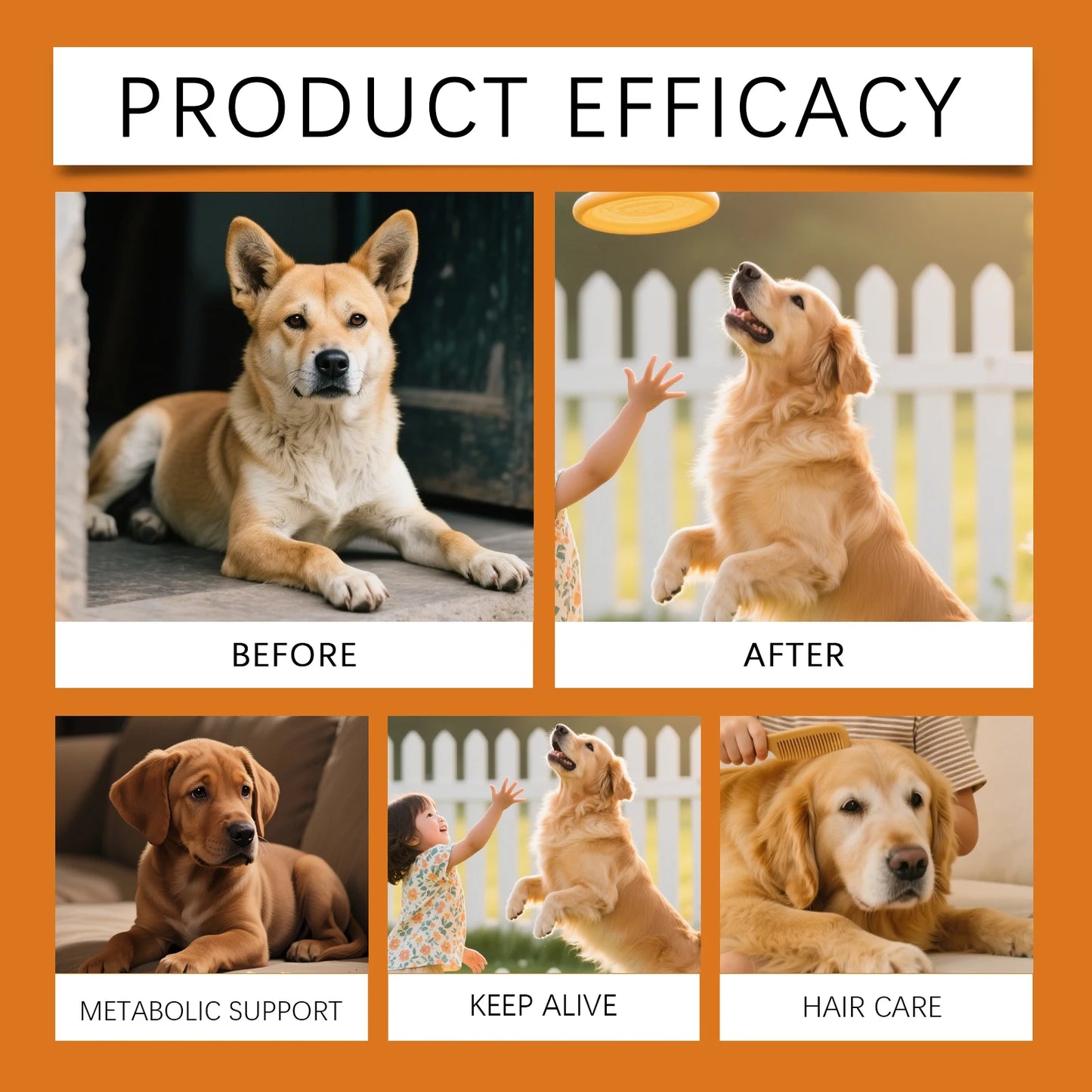 Paws & Loves™ Allergy Relief – Friandises Anti-Allergies pour Chiens, Peau Saine et Pelage Brillant