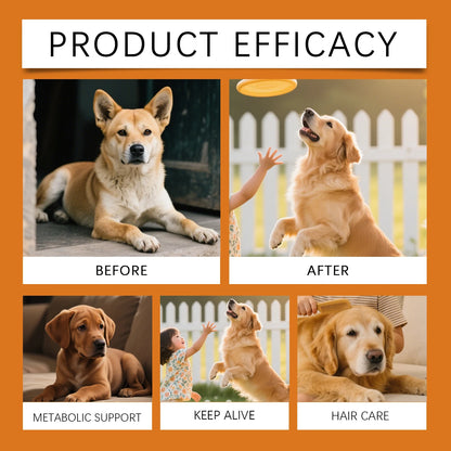Paws & Loves™ Allergy Relief – Friandises Anti-Allergies pour Chiens, Peau Saine et Pelage Brillant