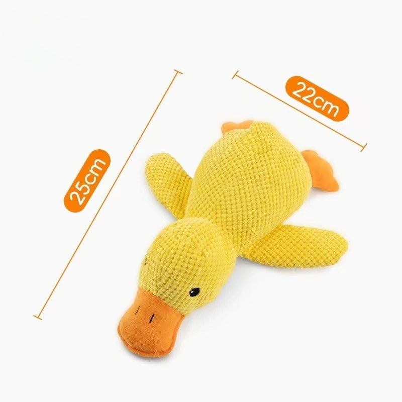 ChewyBuddy – Compagnon de Jeu Interactif