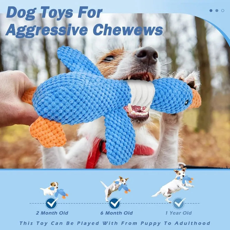 ChewyBuddy – Compagnon de Jeu Interactif