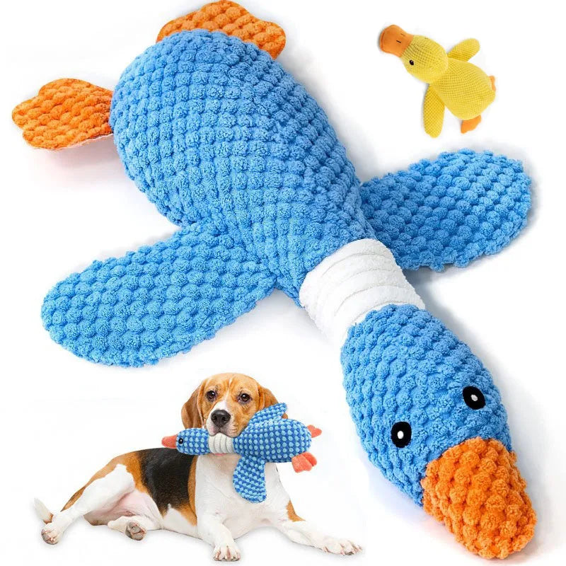 ChewyBuddy – Compagnon de Jeu Interactif