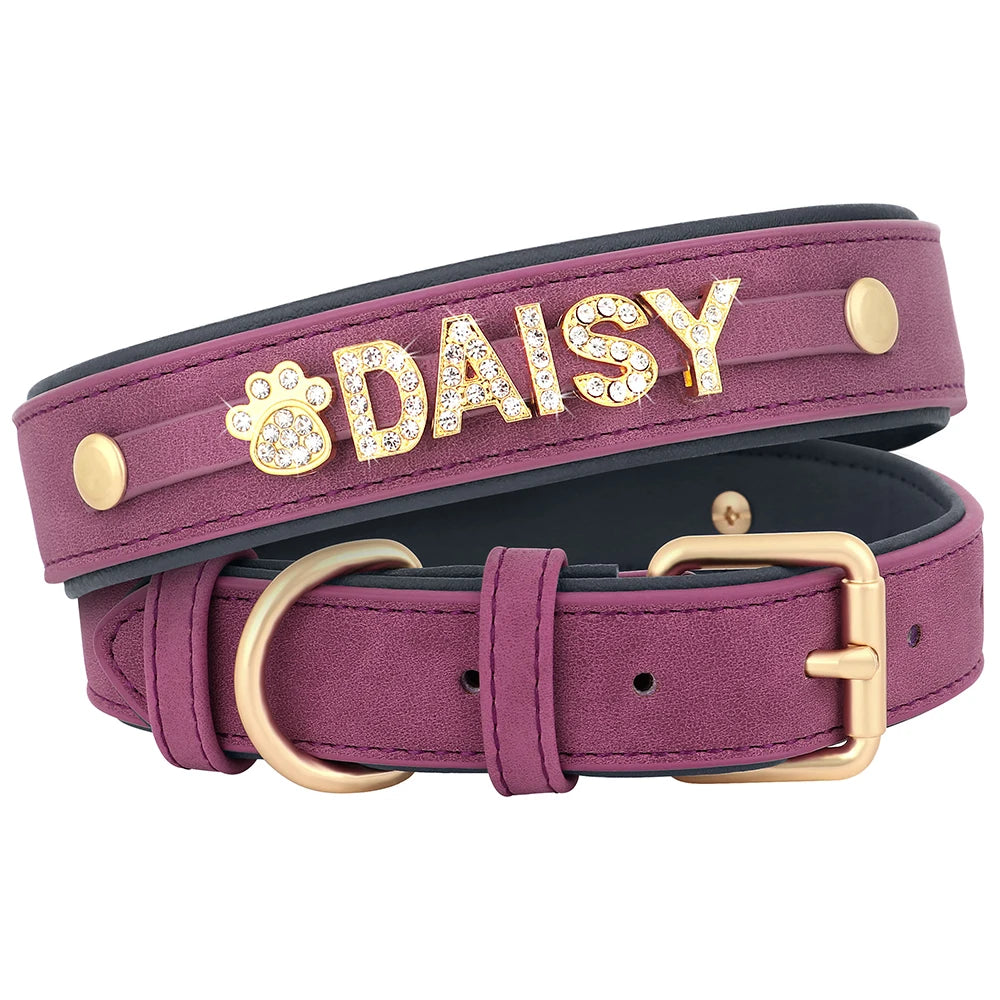 Collier en cuir personnalisé pour chien – Nom gravé gratuit
