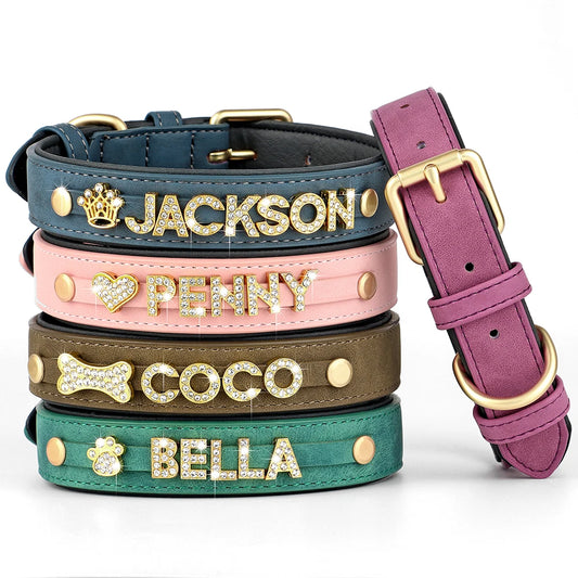Collier en cuir personnalisé pour chien – Nom gravé gratuit