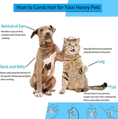 Brosse anti-poils pour chiens et chats – Peigne de toilettage pour poils longs