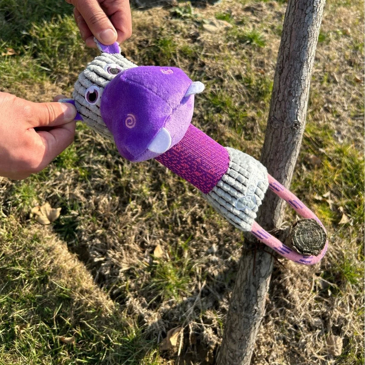 Jouet Résistant pour Chien – Peluche en Velours Côtelé avec Son Amusant