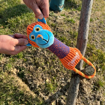Jouet Résistant pour Chien – Peluche en Velours Côtelé avec Son Amusant