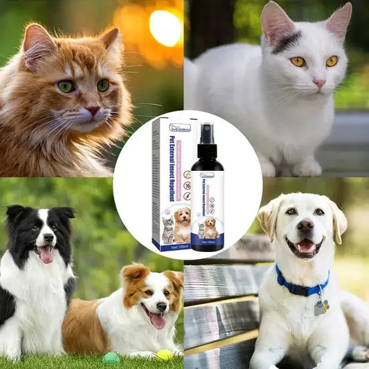 Vaporisateur anti-tiques pour chiens et chats, contrôle des tiques, bouteille de 100ml, animaux de compagnie et usage domestique