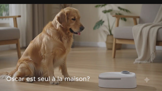 Paws & Loves™ Smart Meal Station | Distributeur Automatique de Nourriture automatique intelligent