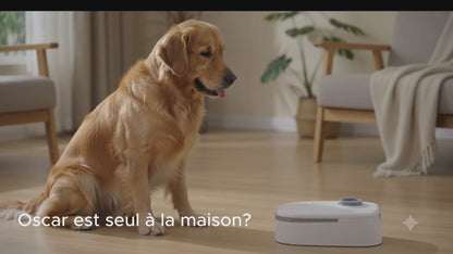 Paws & Loves™ Smart Meal Station | Distributeur Automatique de Nourriture automatique intelligent